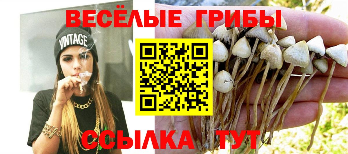 Псилоцибиновые грибы мухоморы  Галлюциногенные грибы Cubensis  где найти наркотики  Вход с VPN  Лесозаводск 